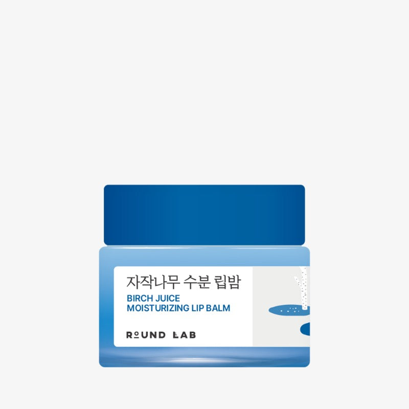 BIRCH JUICE MOISTURIZING LIP BALM + BRUSH SET